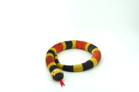 Eastern Milk Snake