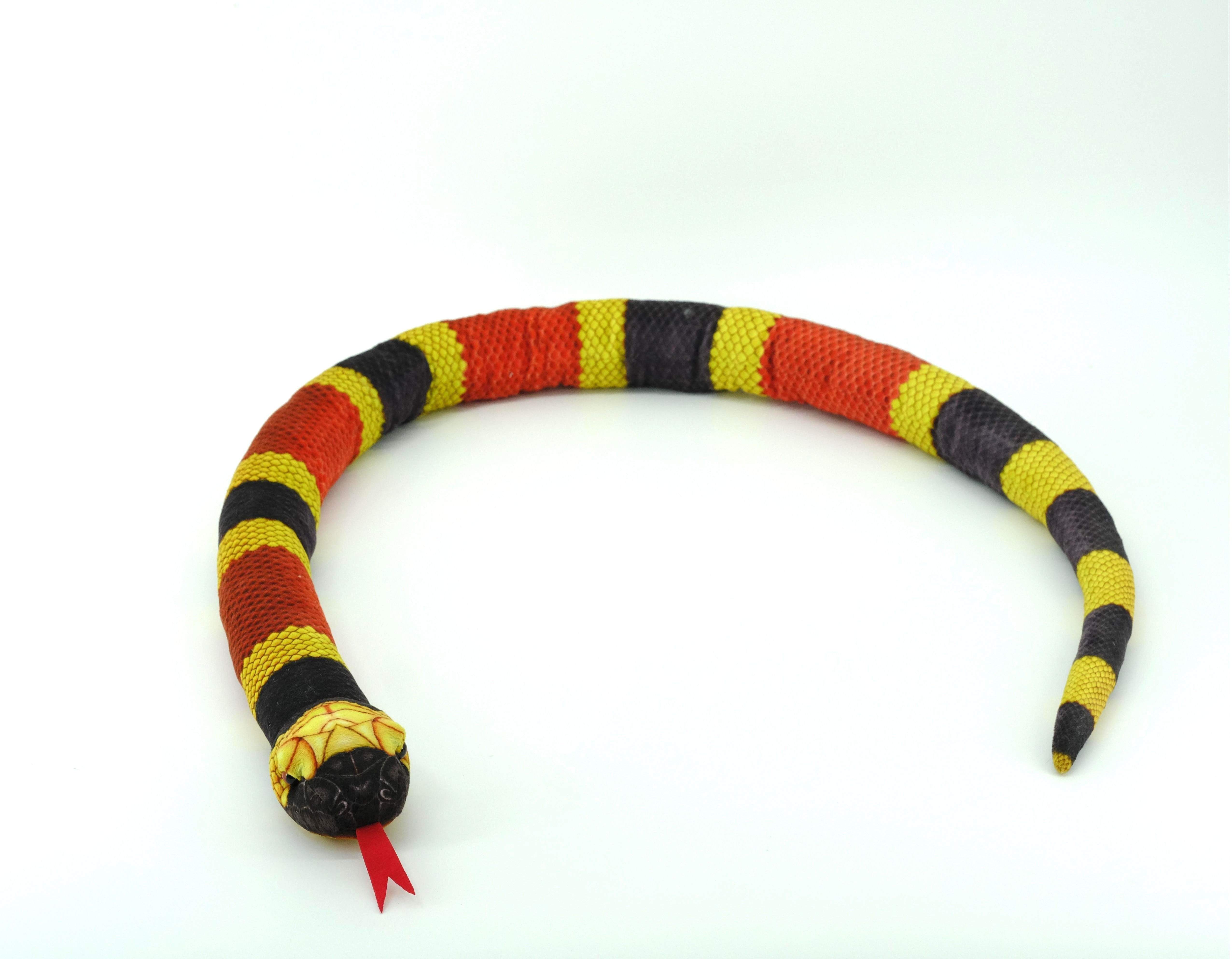 Eastern Milk Snake