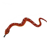 Amazon Tree Boa Snake