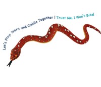 Amazon Tree Boa Snake
