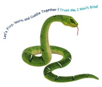 Tree Boa Snake