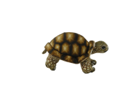 Tortoise Plush (GDX9031-2B)