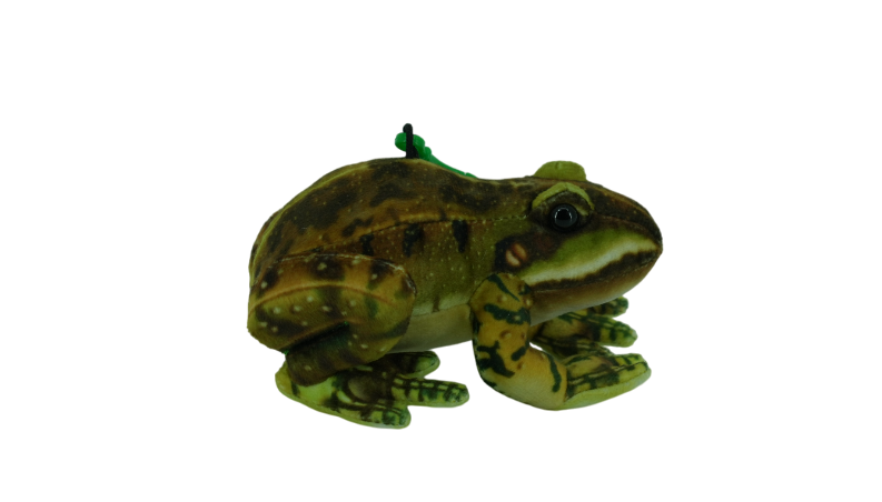 Green Frog Keyholder (GDL23025K-1C)