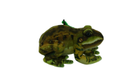 Green Frog Keyholder (GDL23025K-1C)