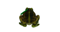 Green Frog Keyholder (GDL23025K-1C)