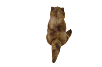 Tyrannosaurus Hand puppet (GDL23004-1)