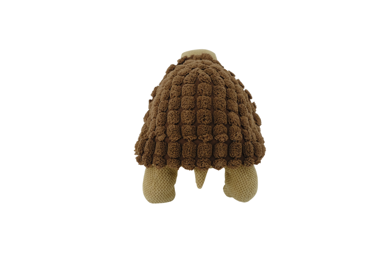 Tortoise (GDX9058-2)