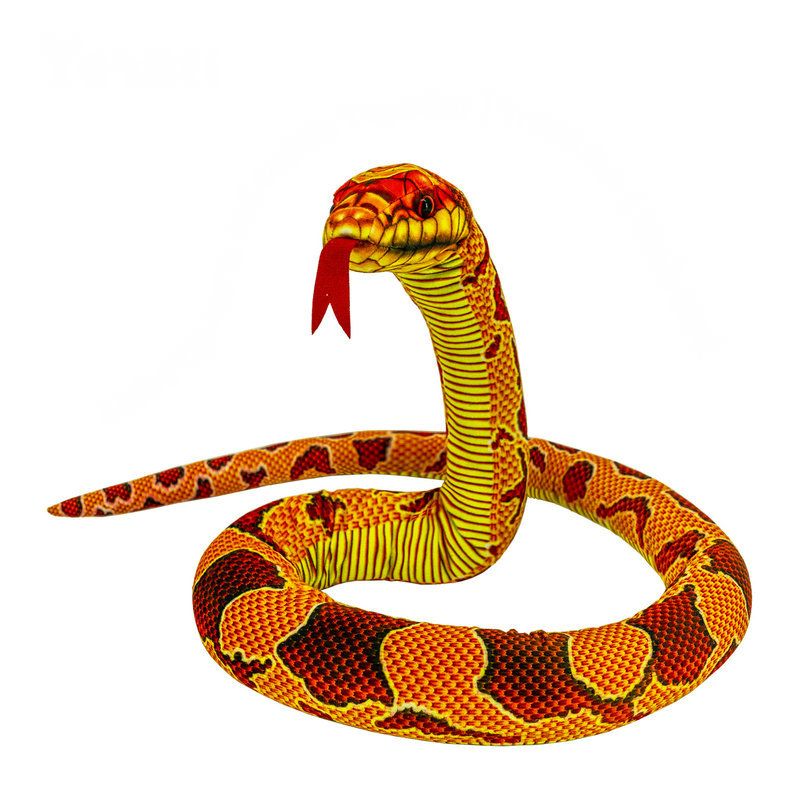 Corn Snake