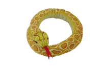 Albino Burmese Python