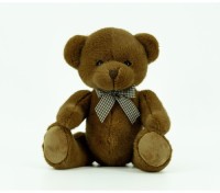 Teddy bear (HK21)