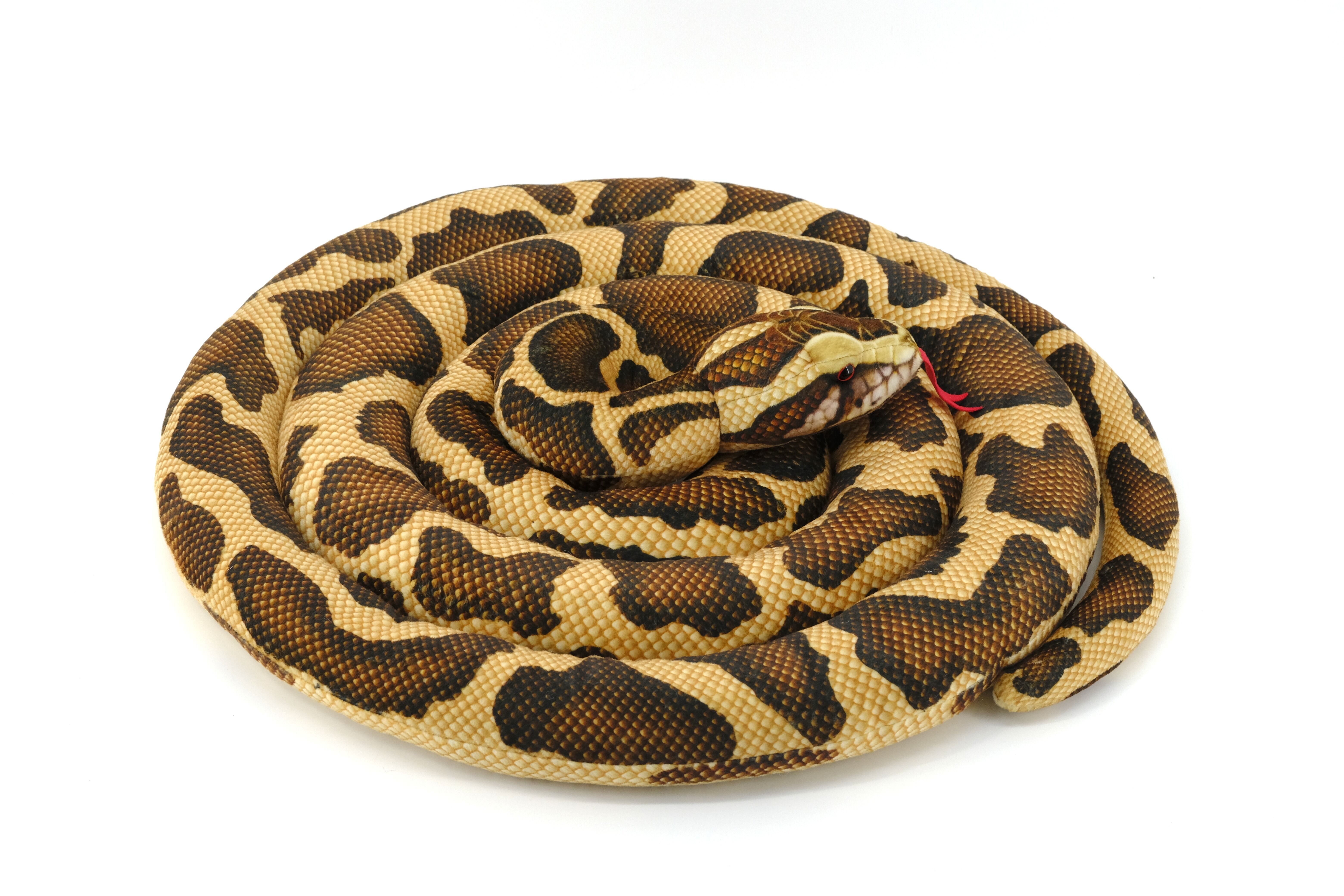 Plush Burmese Python