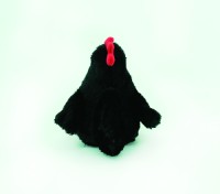 Black Hen (GDL23056-1C)